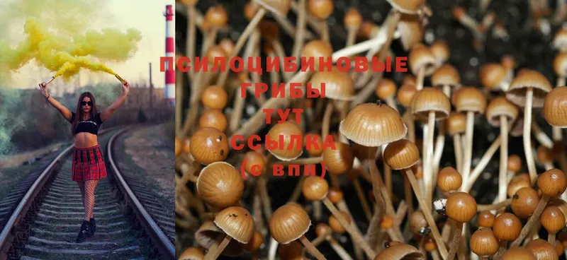 Псилоцибиновые грибы MAGIC MUSHROOMS Касимов